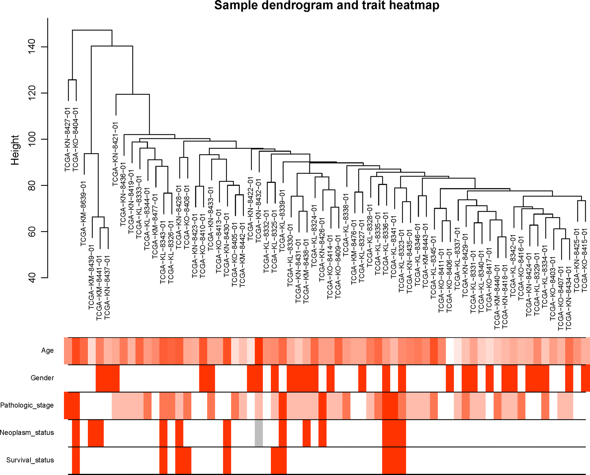 Fig. 1