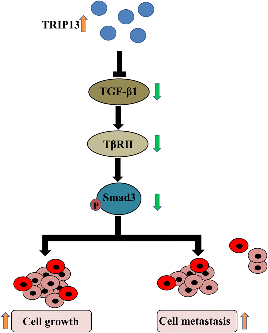 Fig. 7