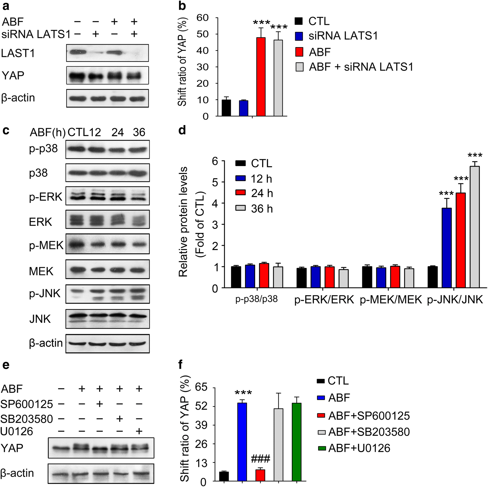 Fig. 4