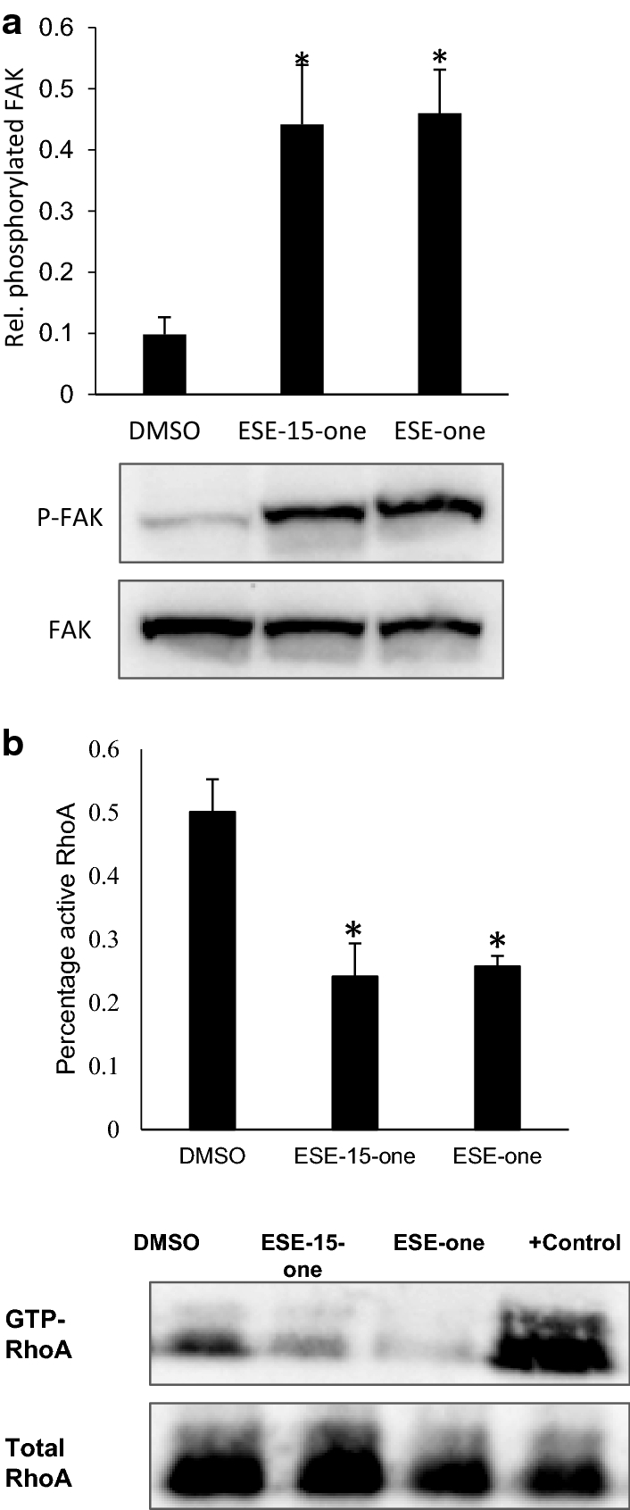 Fig. 6