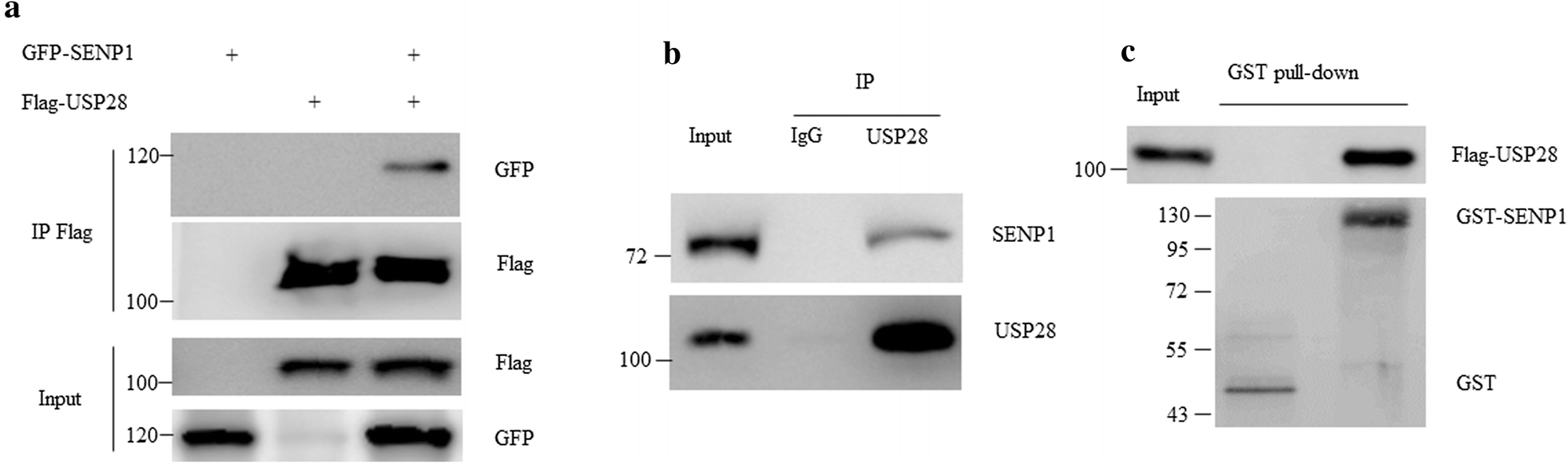 Fig. 4