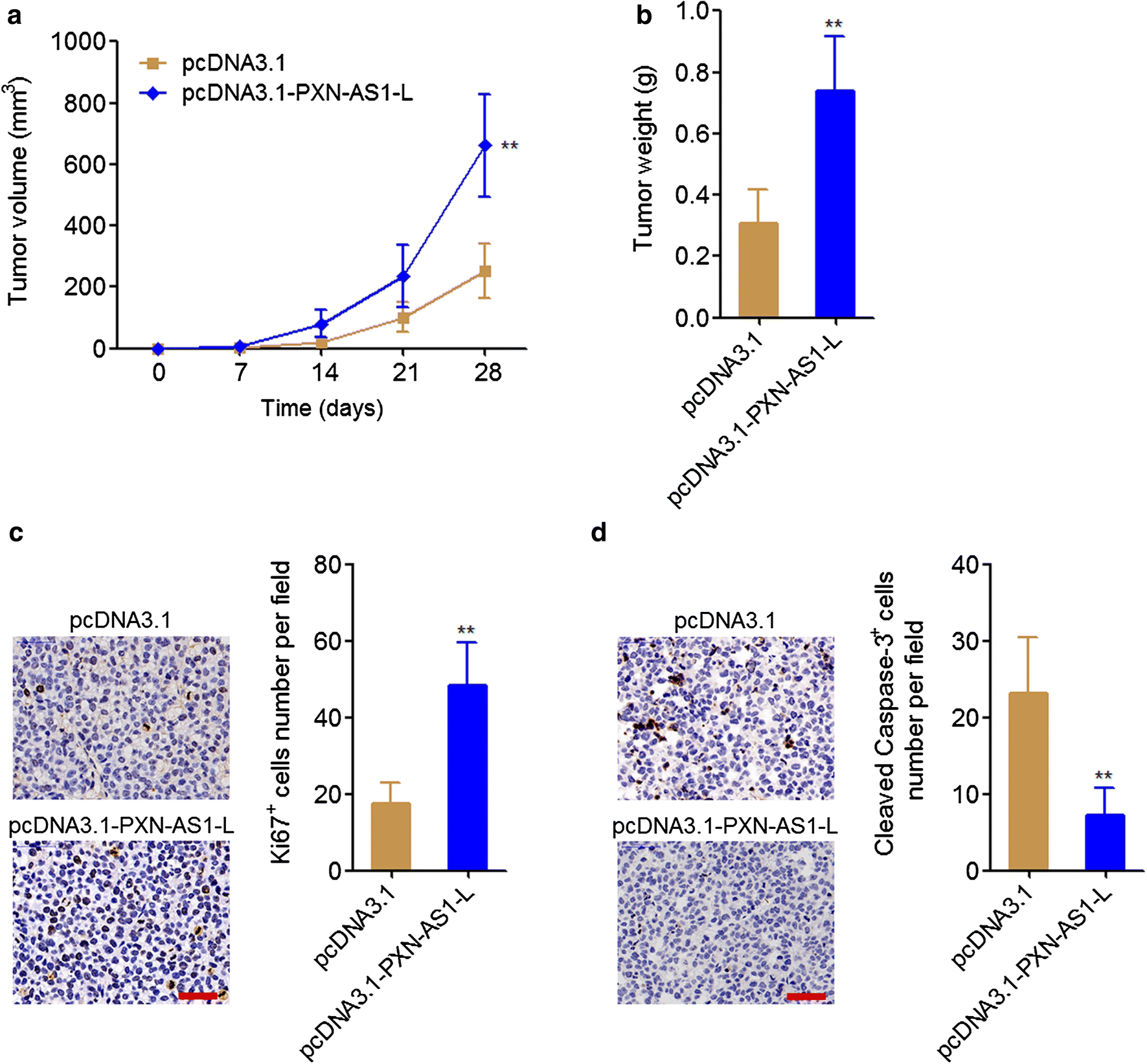 Fig. 4