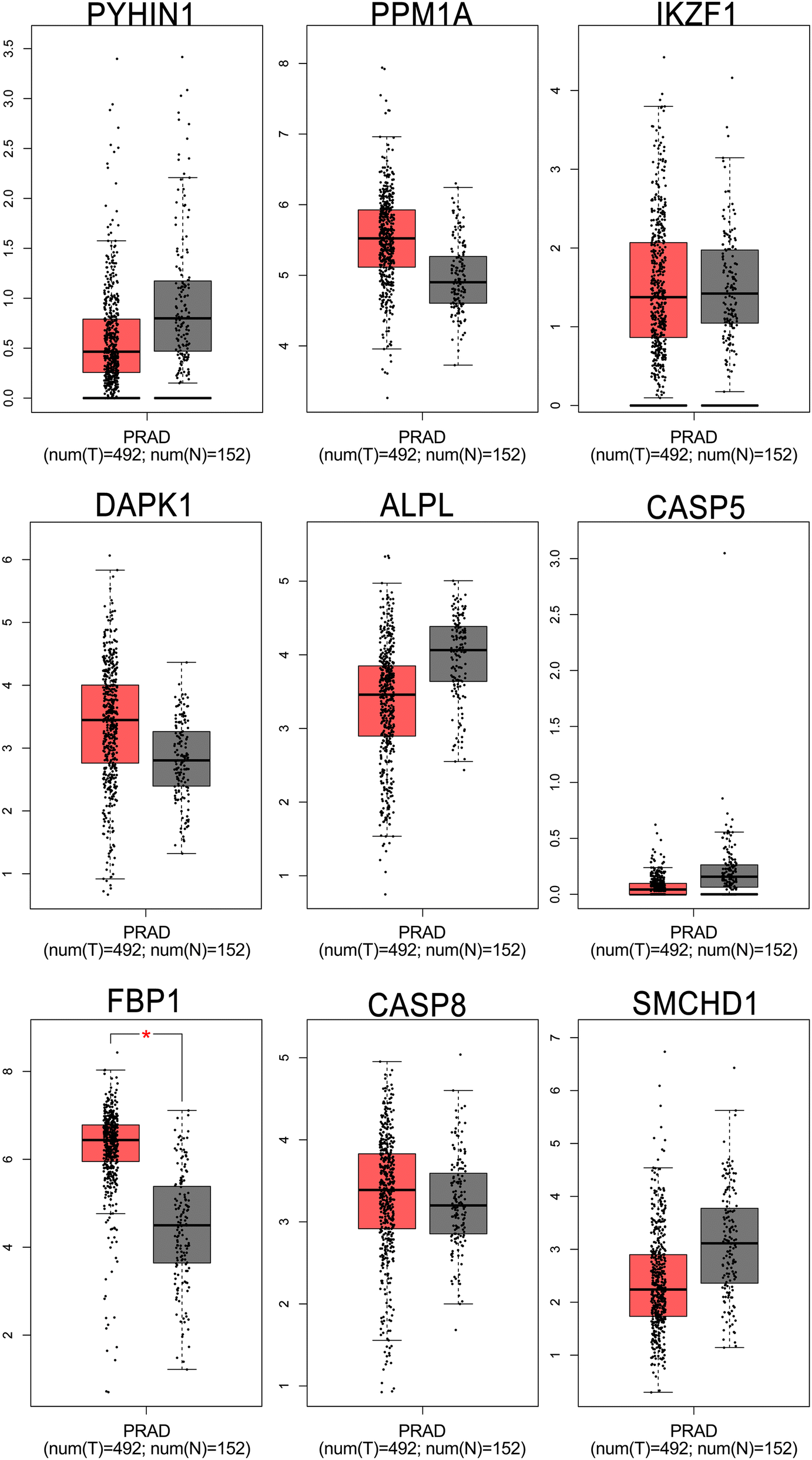 Fig. 10