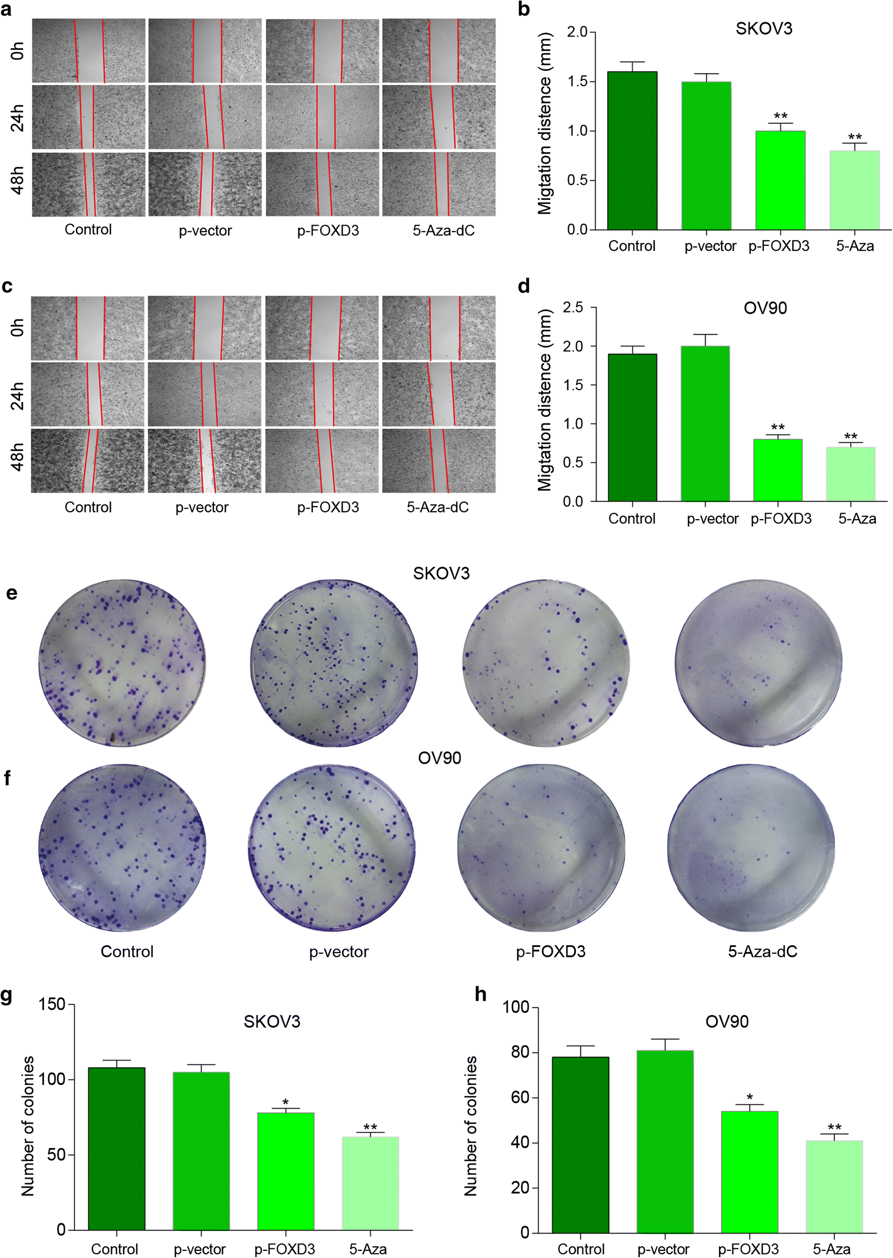 Fig. 5