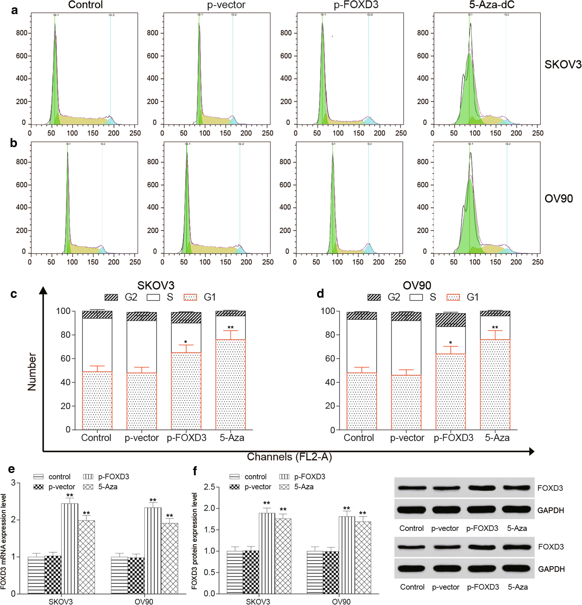 Fig. 7