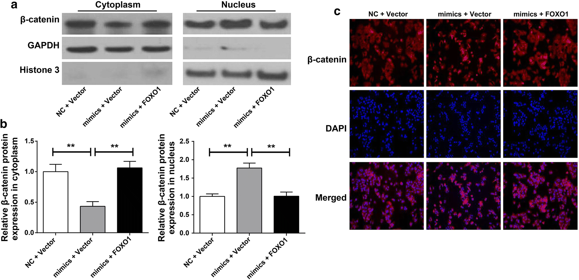 Fig. 6