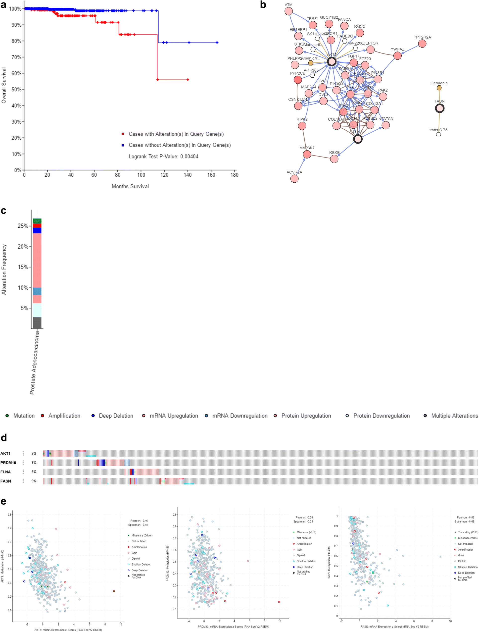 Fig. 10