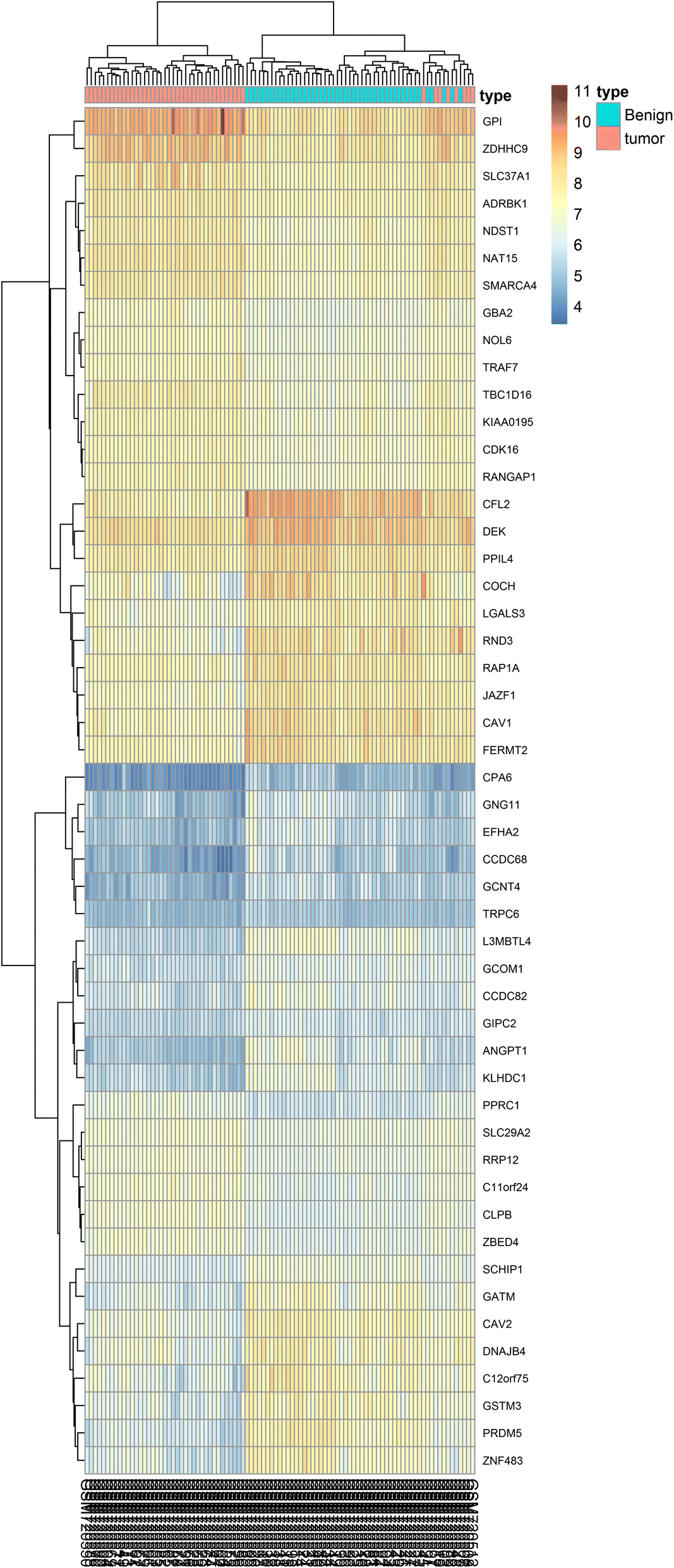 Fig. 2