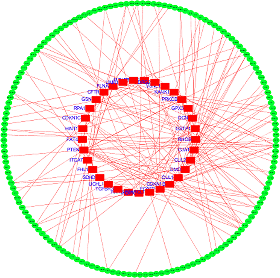 Fig. 7