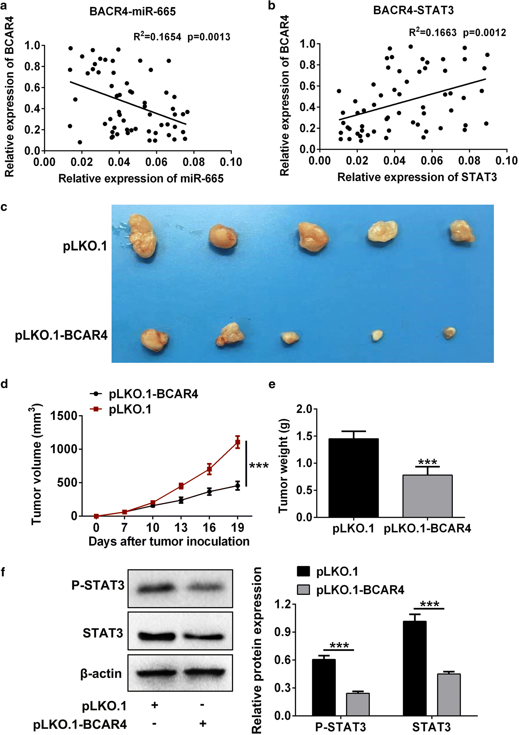 Fig. 6