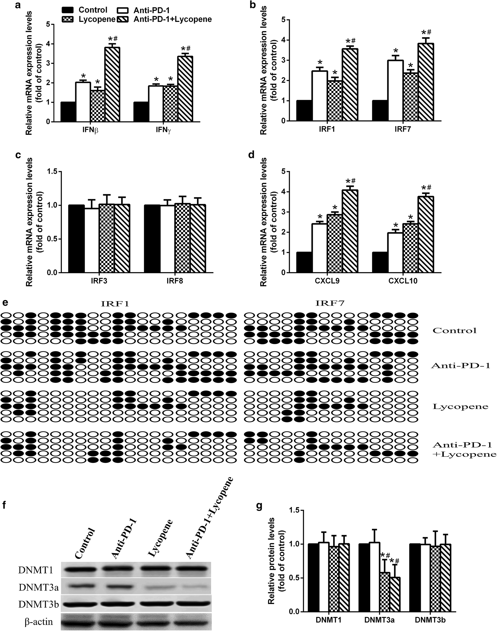 Fig. 4