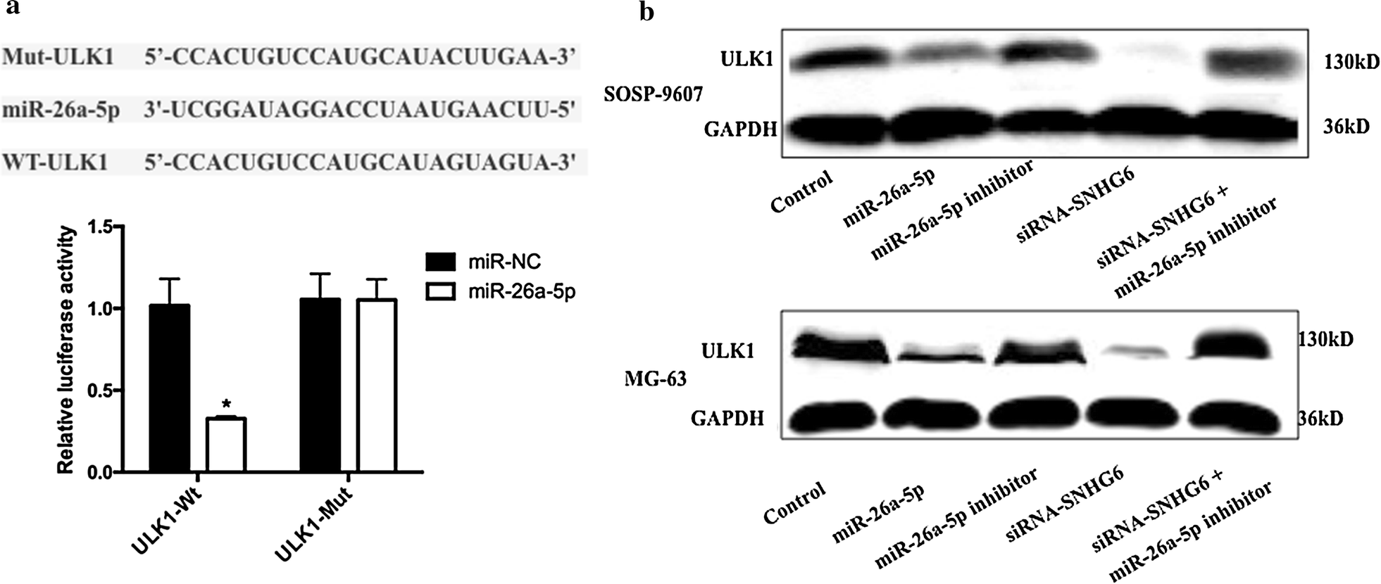 Fig. 7