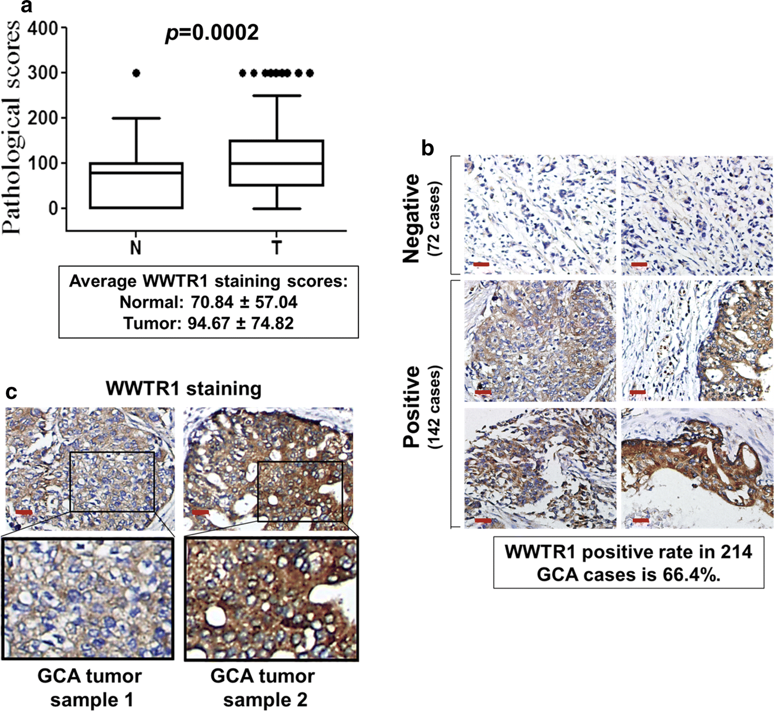 Fig. 1