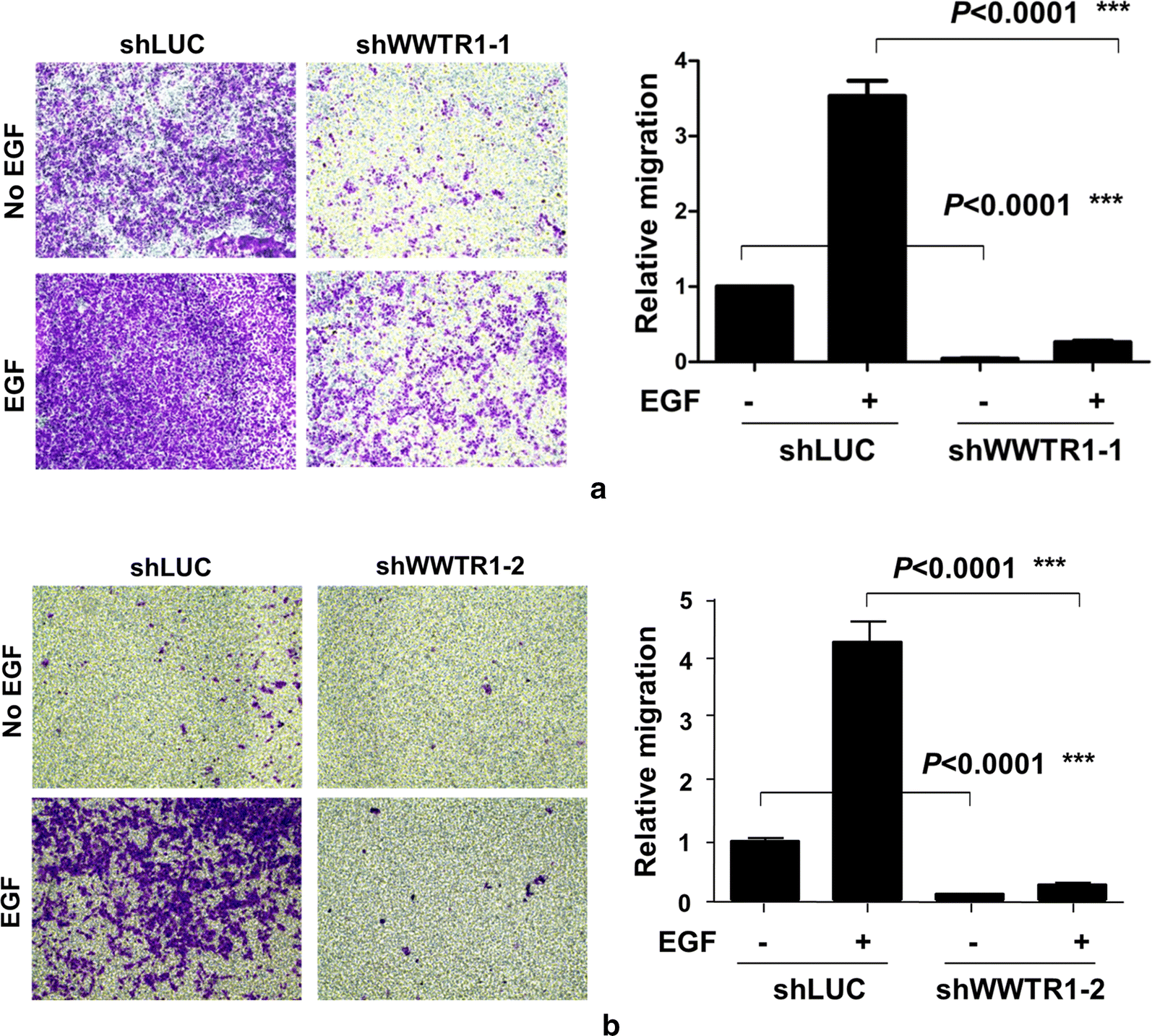 Fig. 4