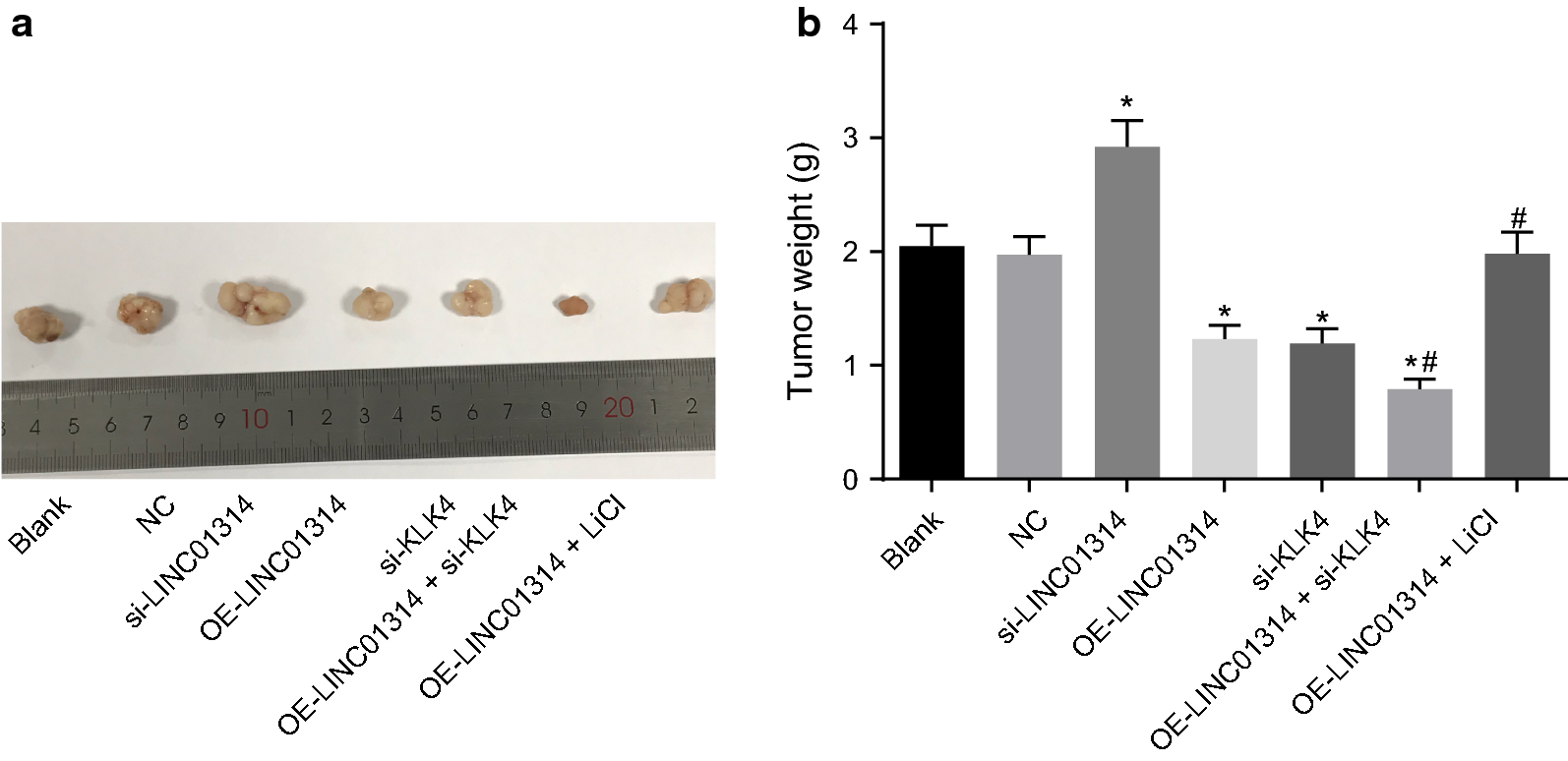 Fig. 7