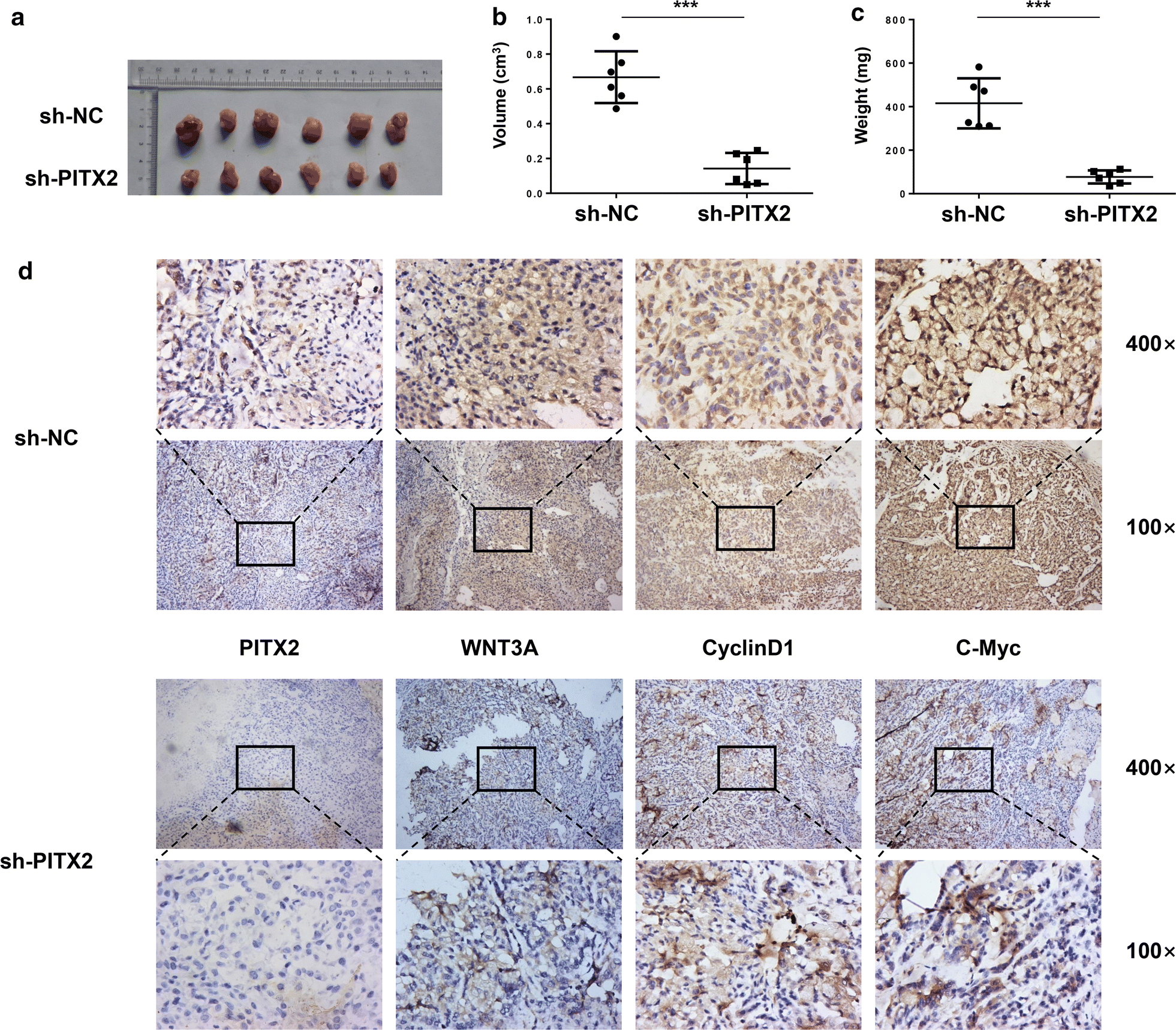 Fig. 5