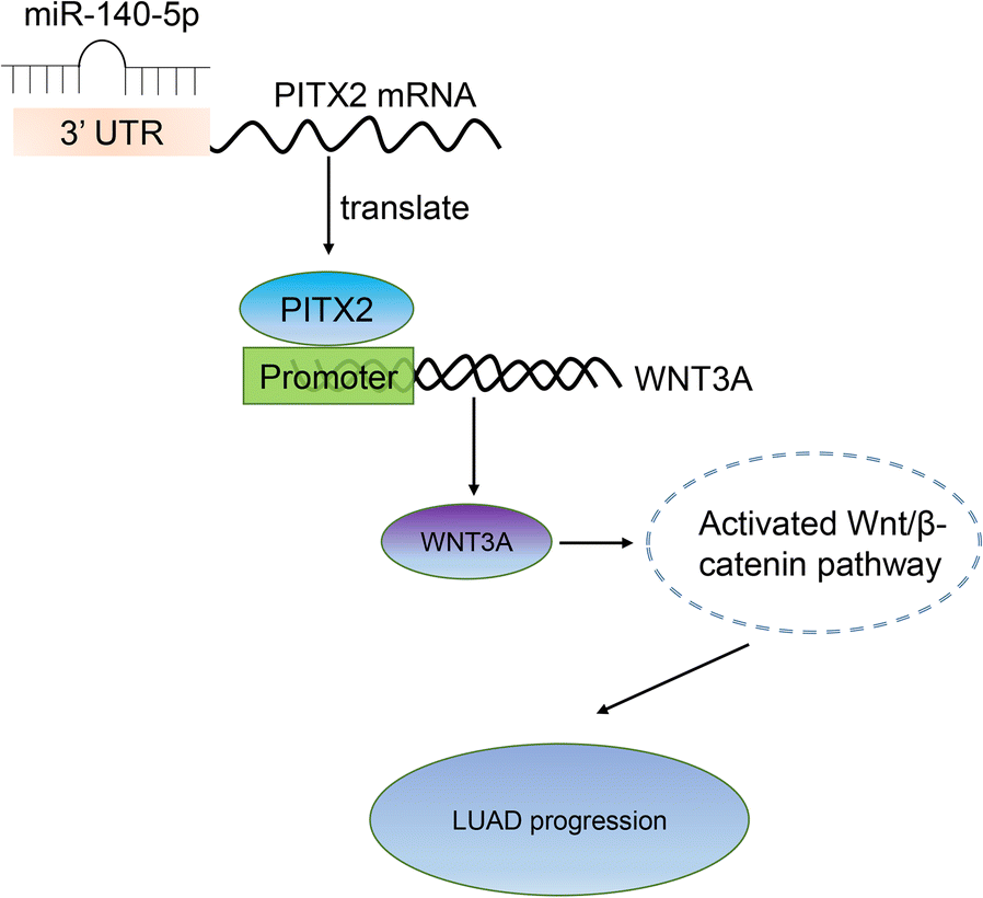 Fig. 7