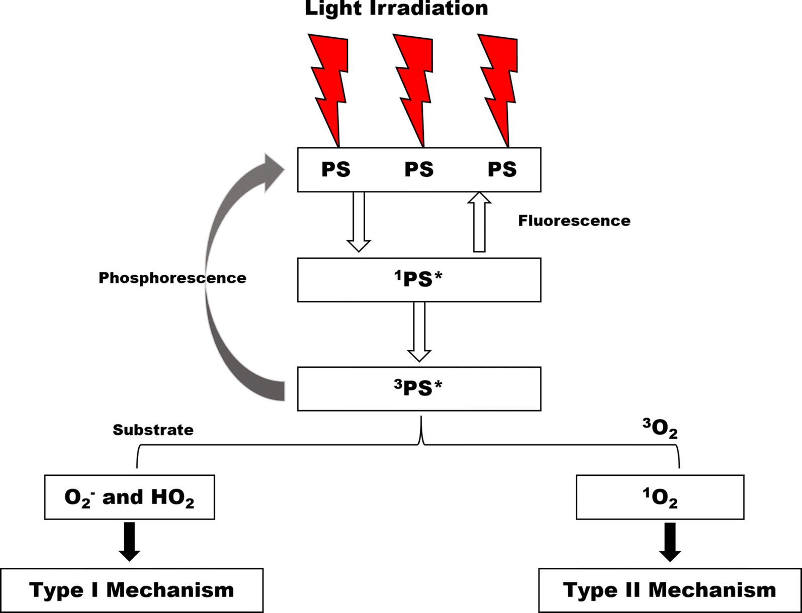 Fig. 3