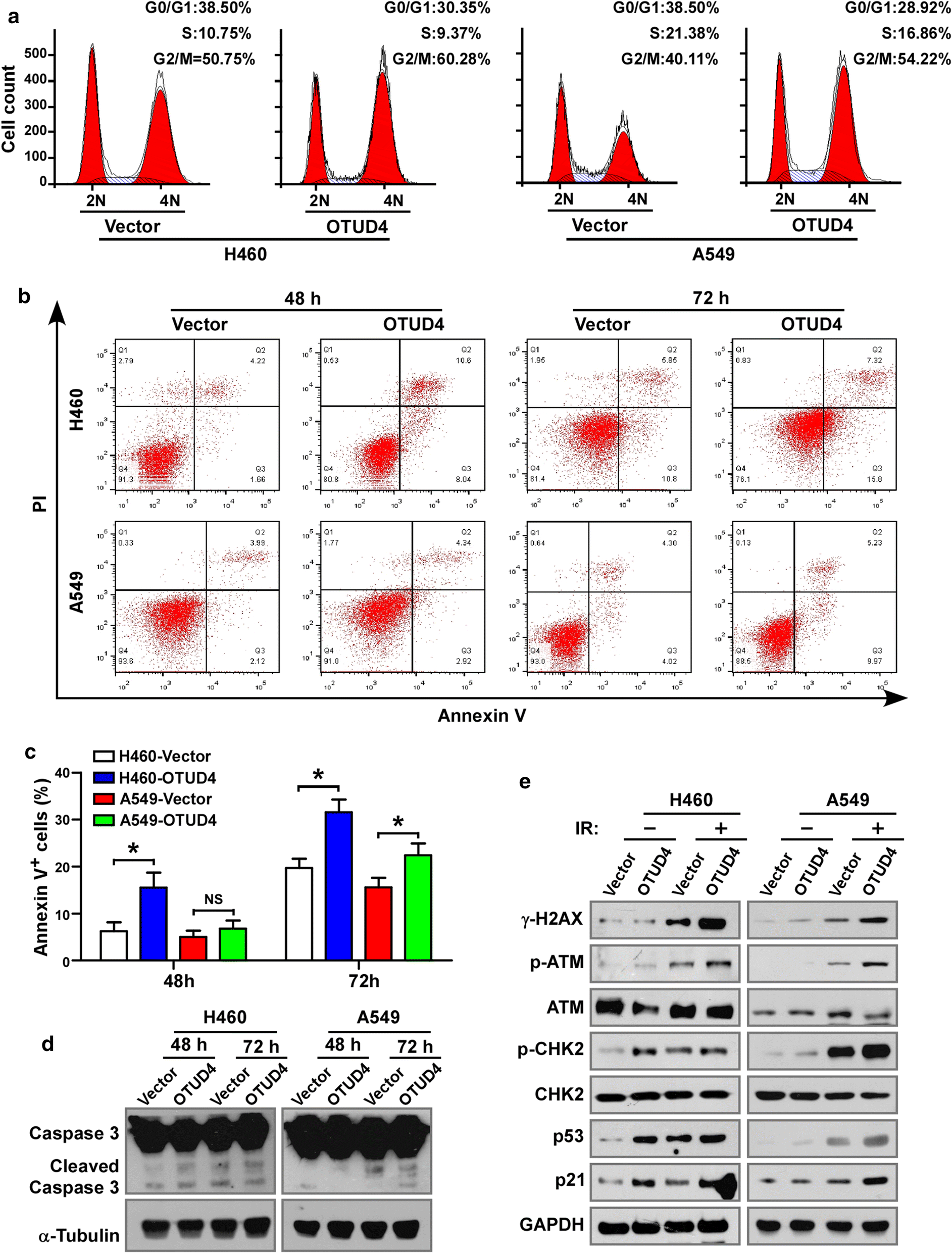 Fig. 4