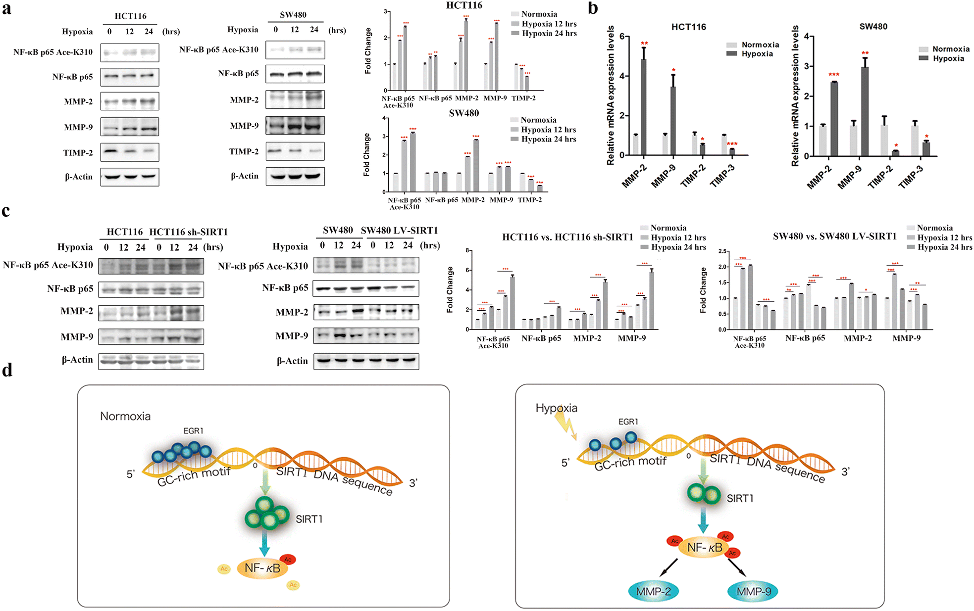 Fig. 6