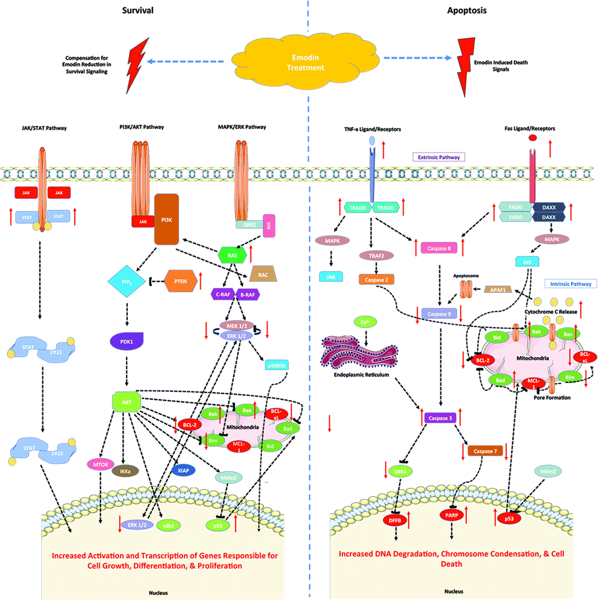 Fig. 6