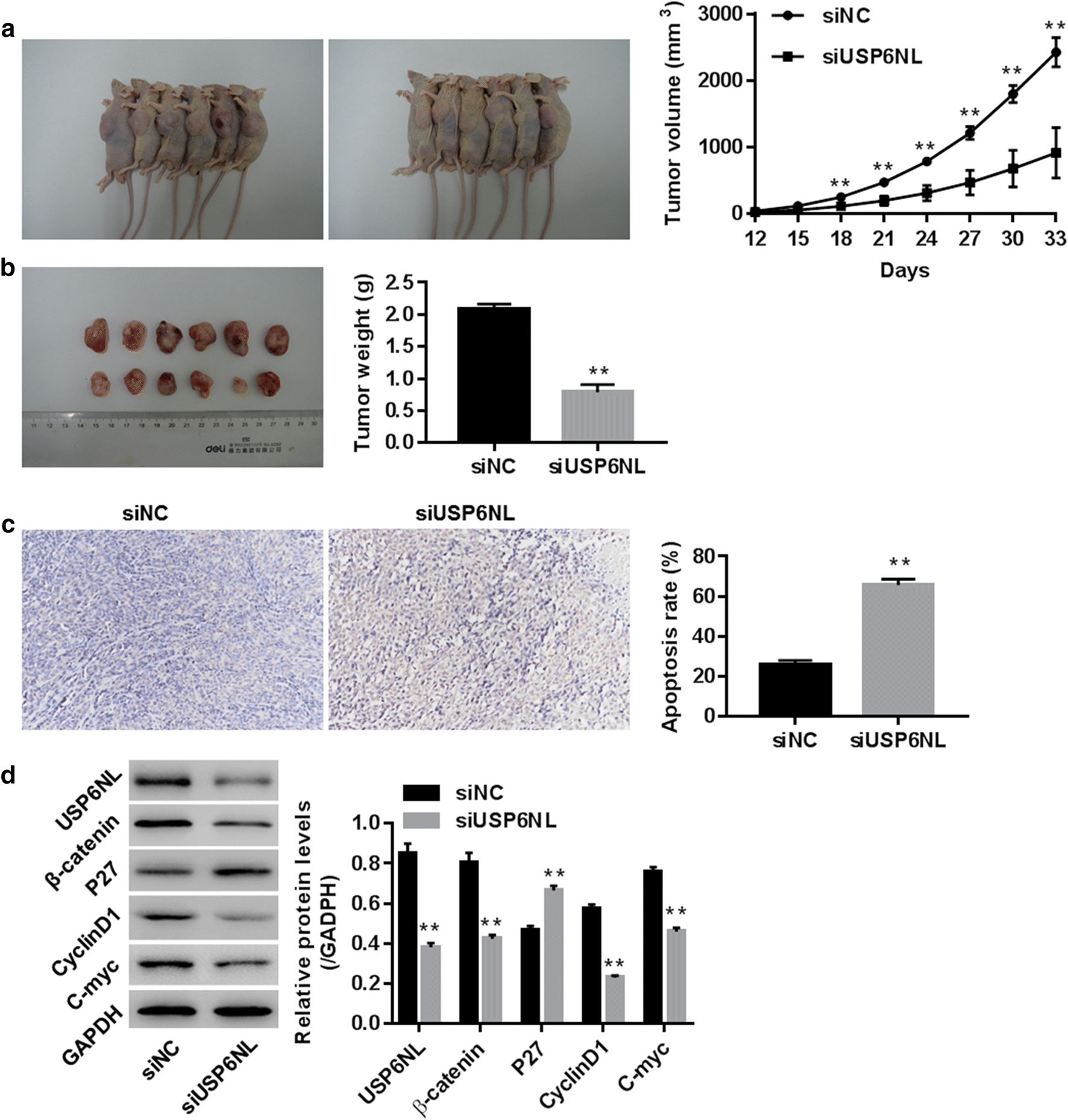 Fig. 6