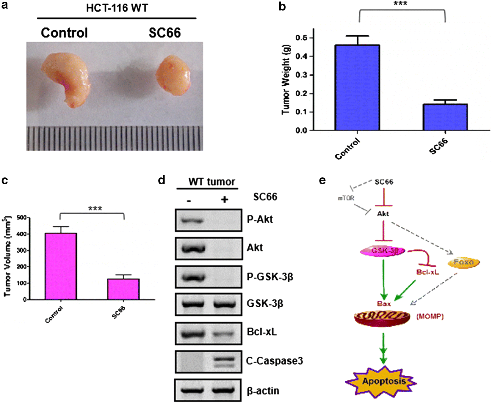 Fig. 6