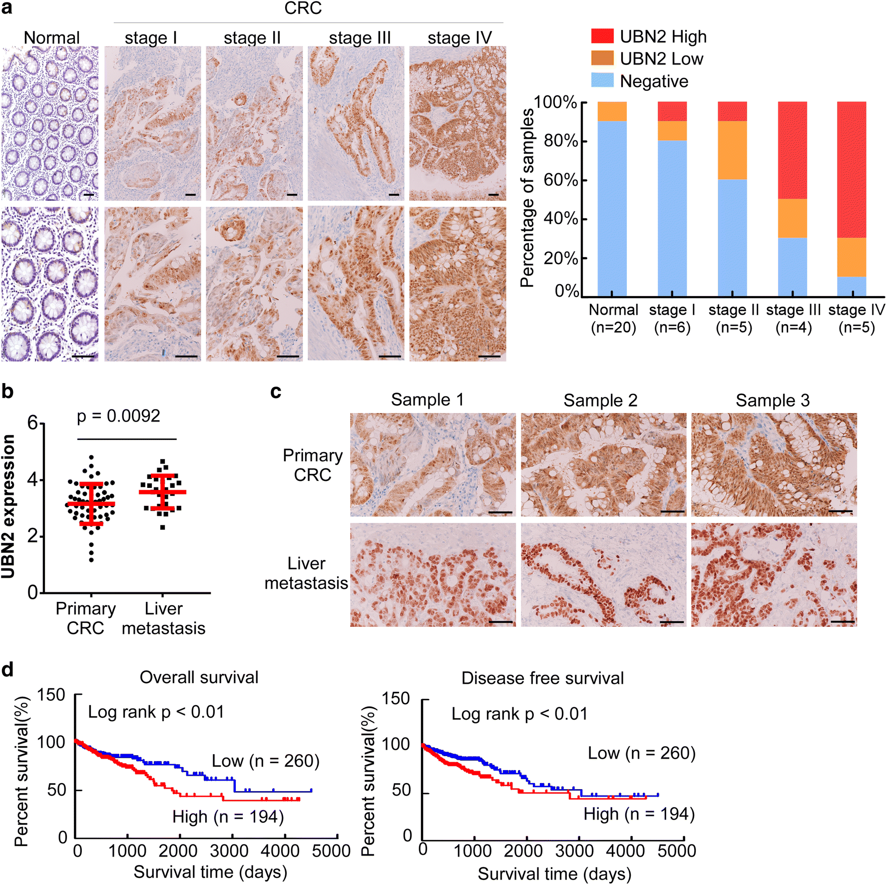 Fig. 2