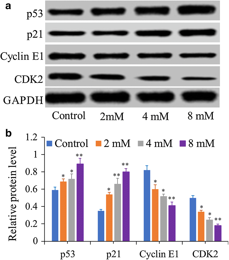 Fig. 4