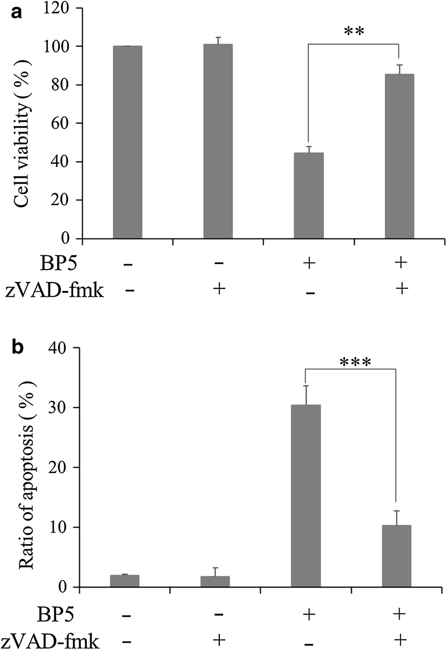 Fig. 8