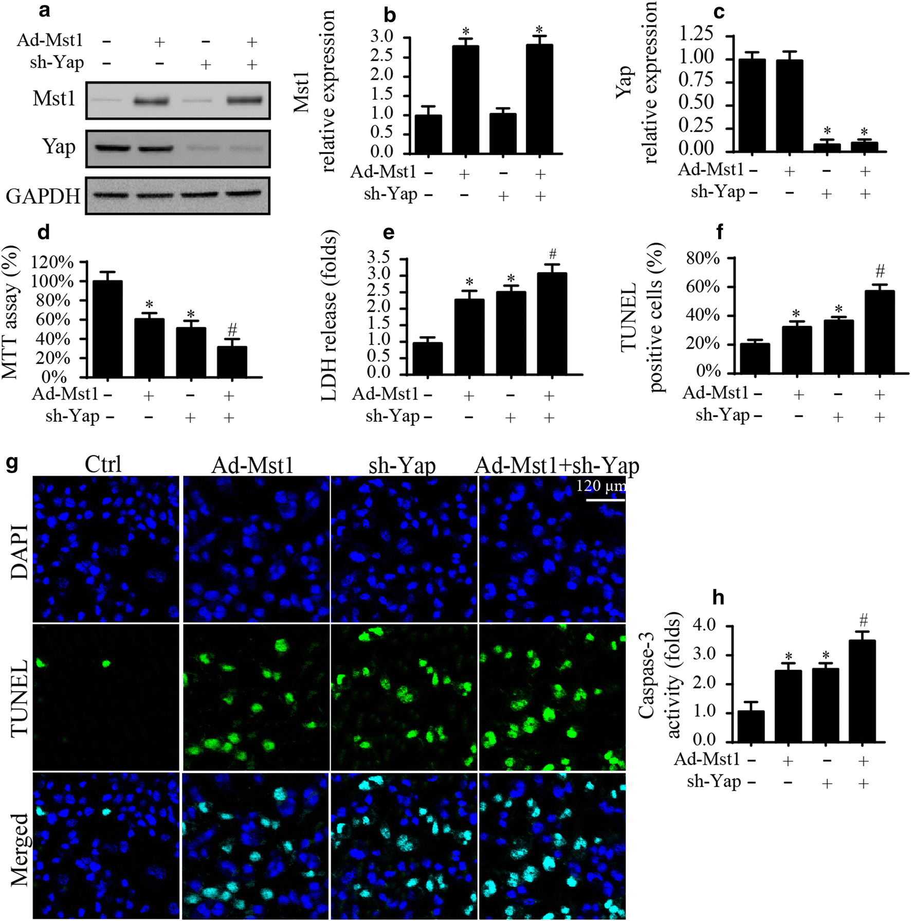 Fig. 1