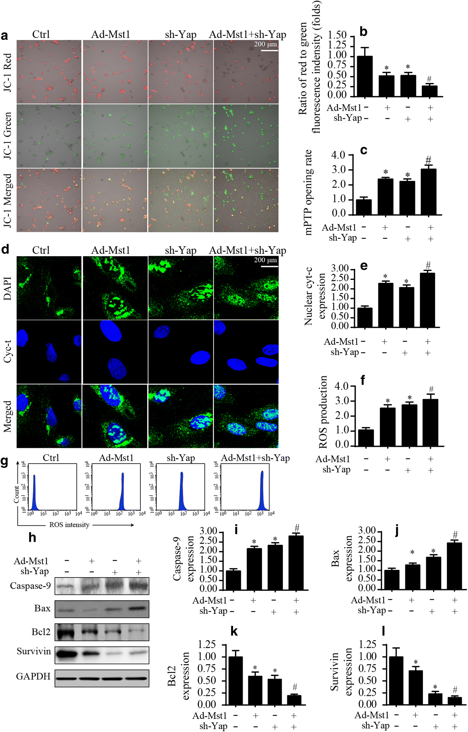 Fig. 3