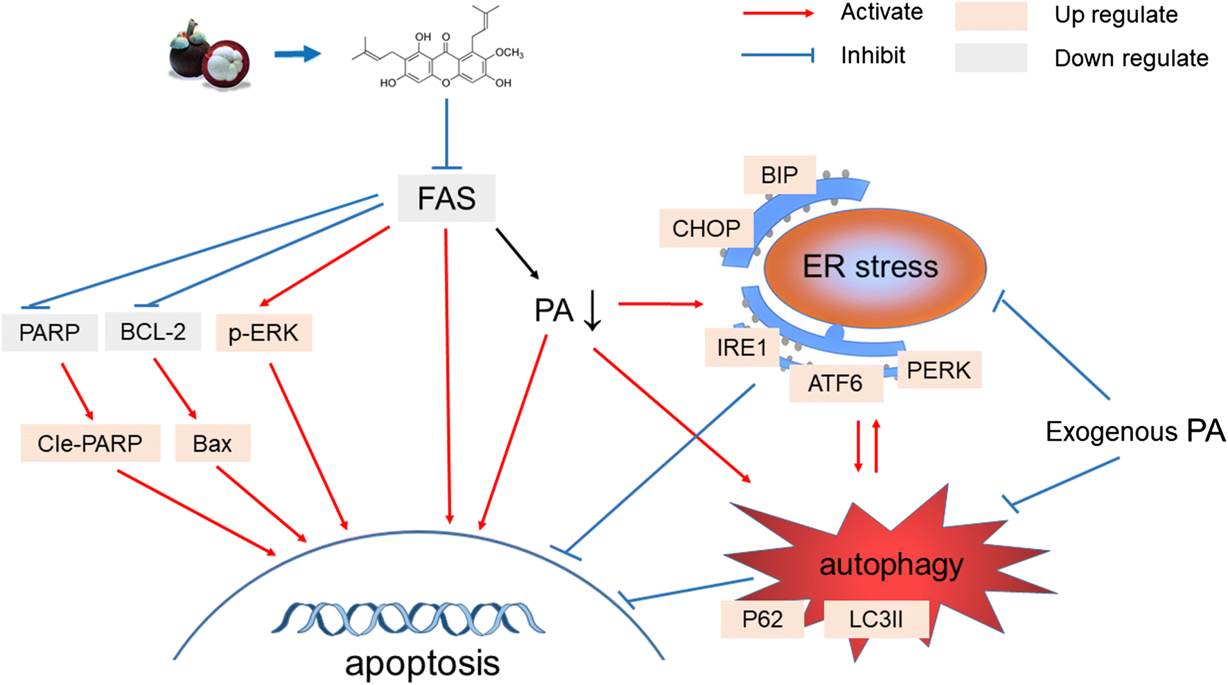 Fig. 7