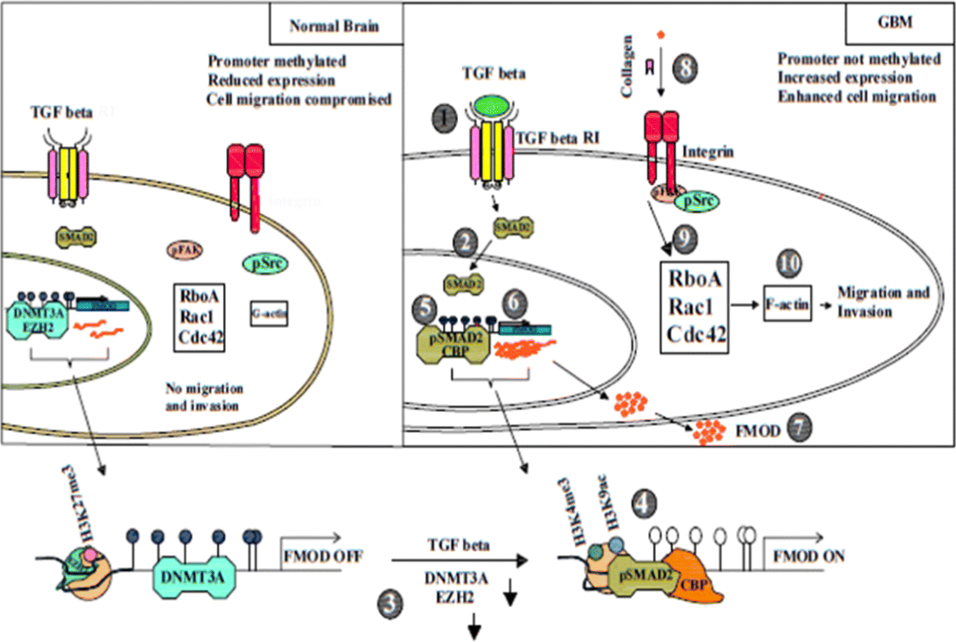 Fig. 2