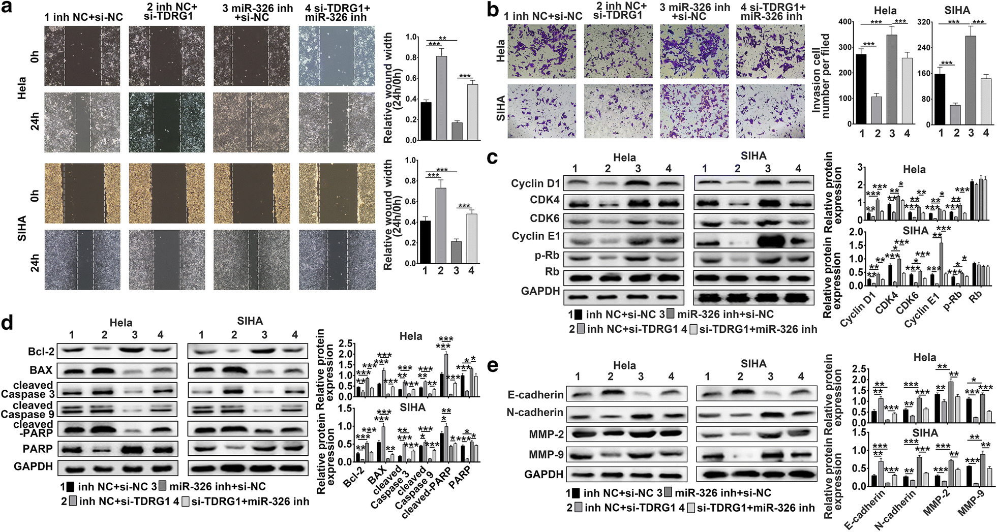 Fig. 7