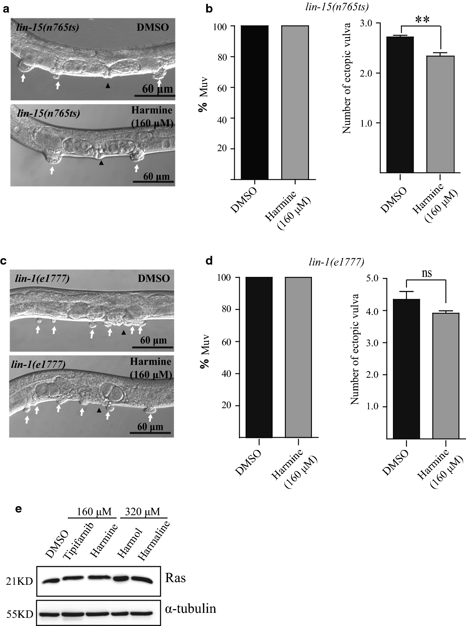 Fig. 10