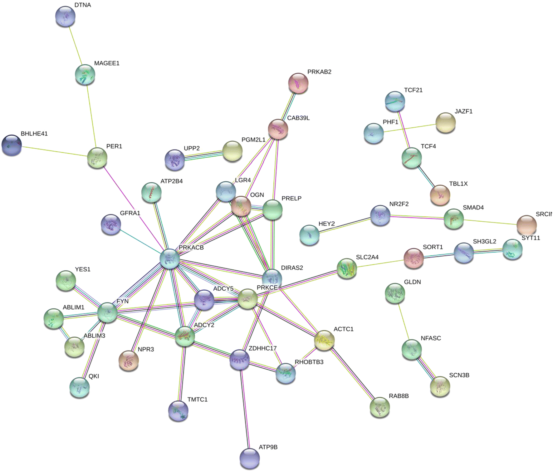 Fig. 10