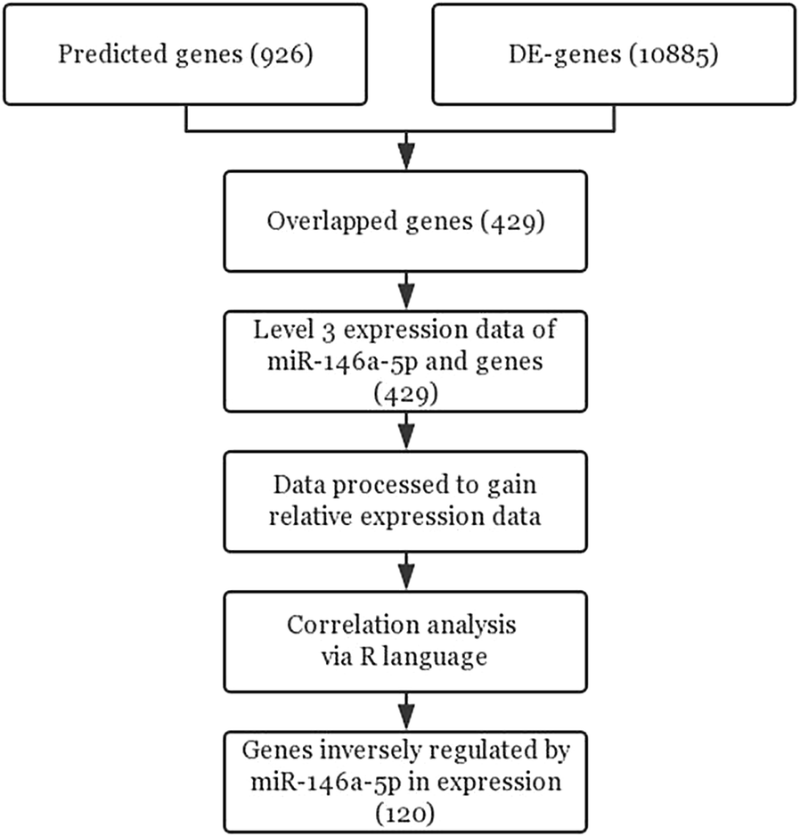 Fig. 7