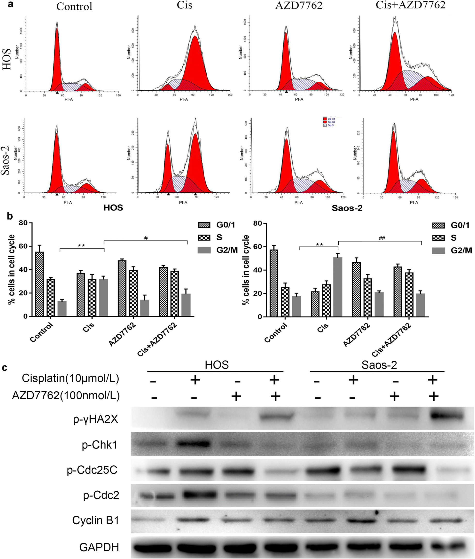 Fig. 2