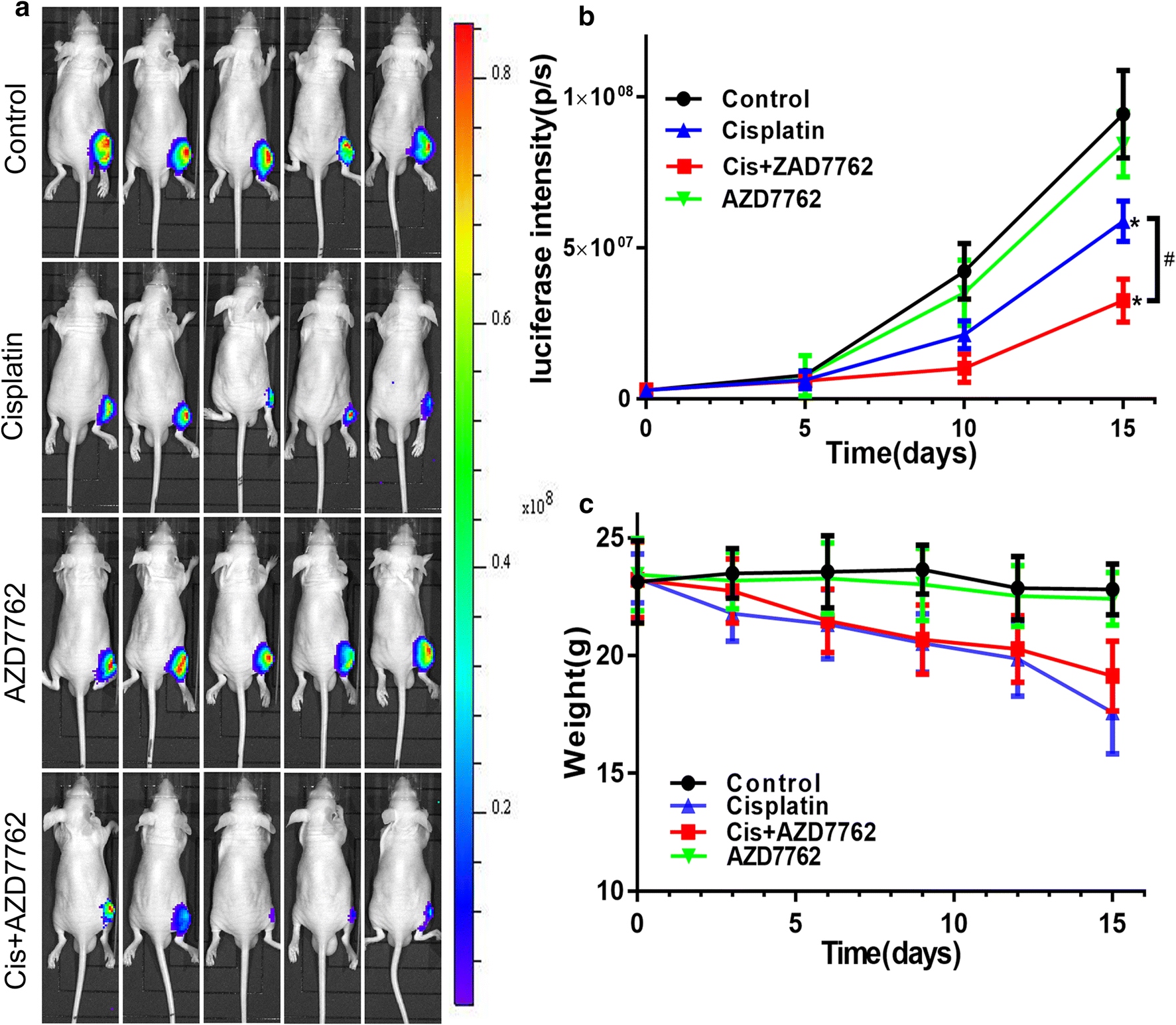 Fig. 3