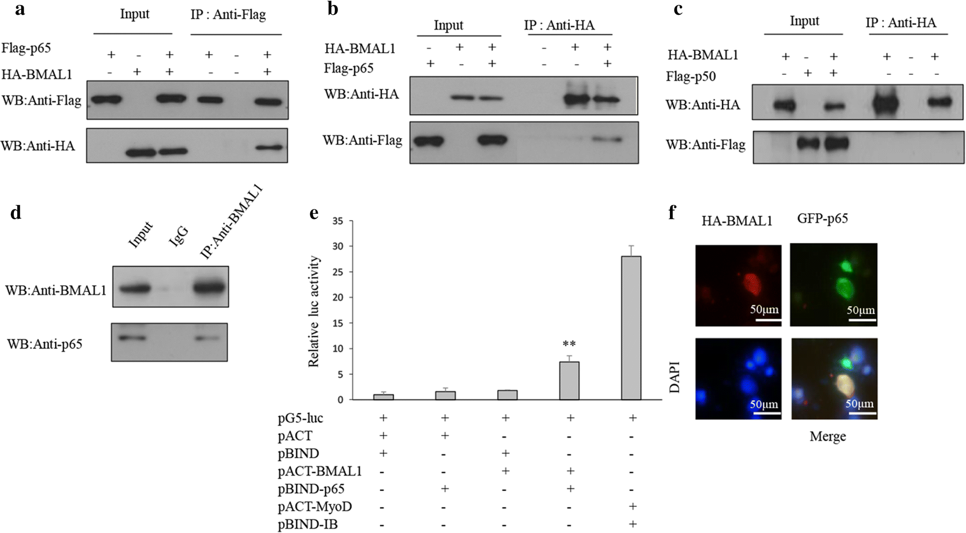 Fig. 4