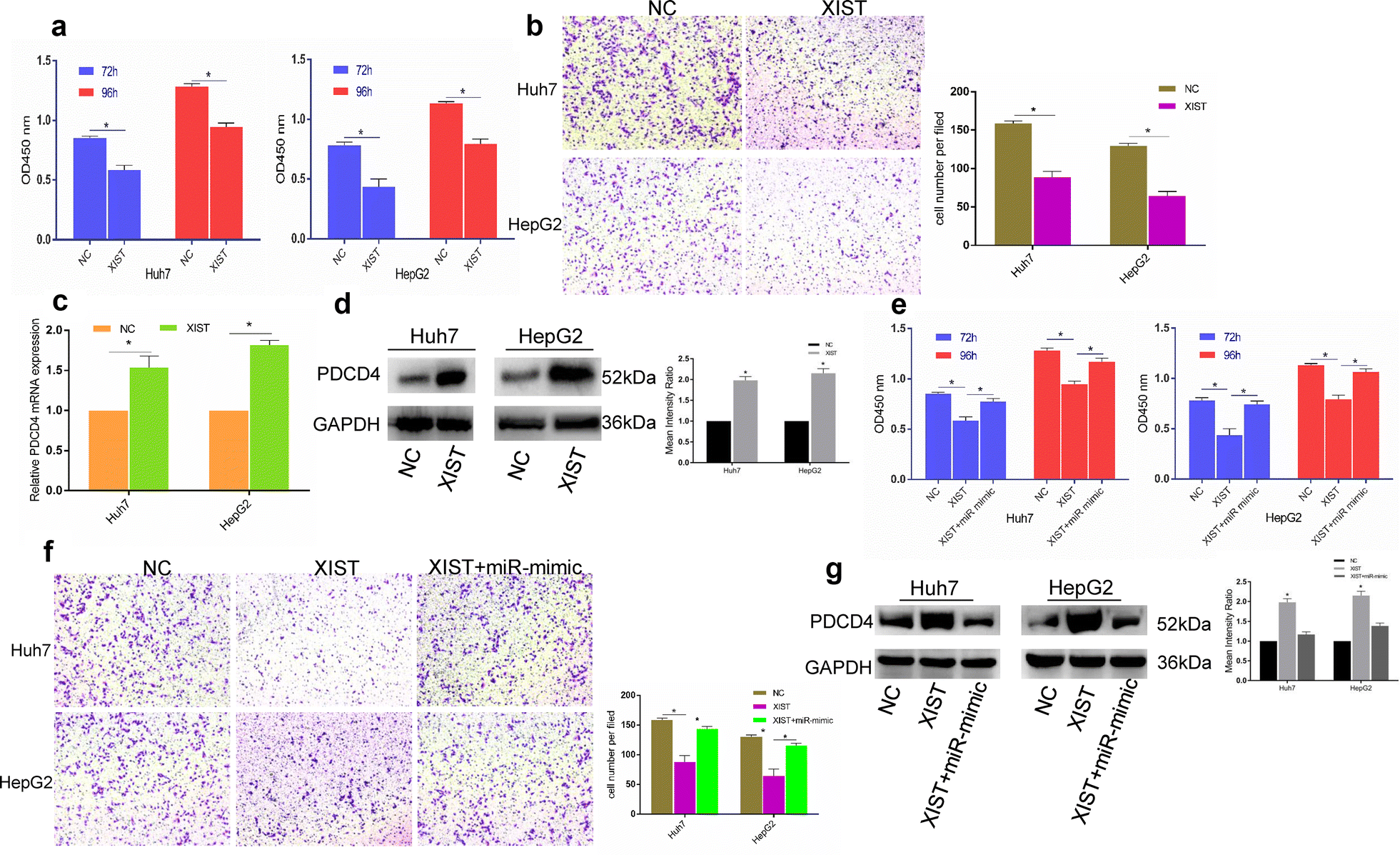 Fig. 6