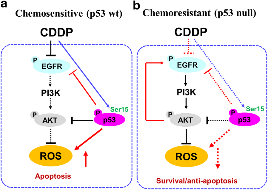 Fig. 6