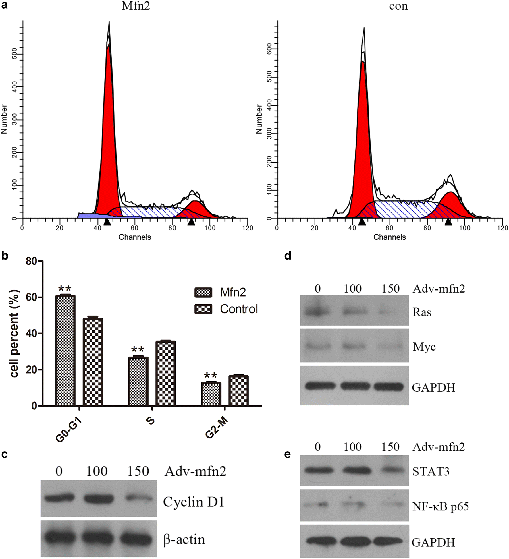 Fig. 2