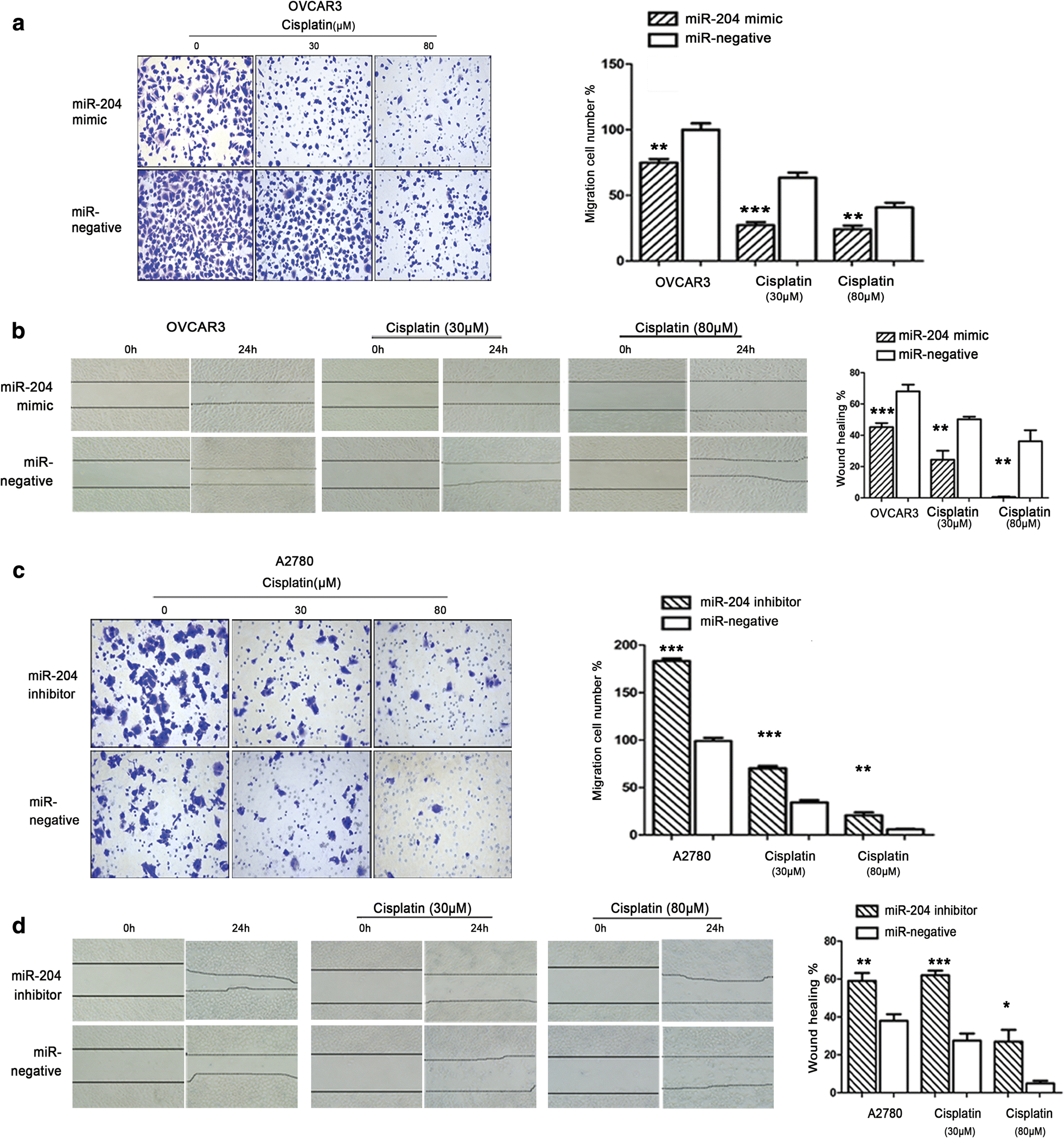 Fig. 6