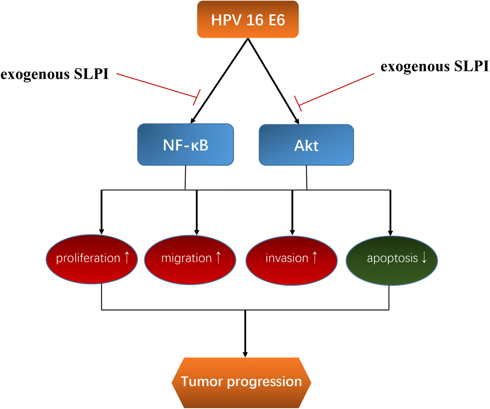 Fig. 9