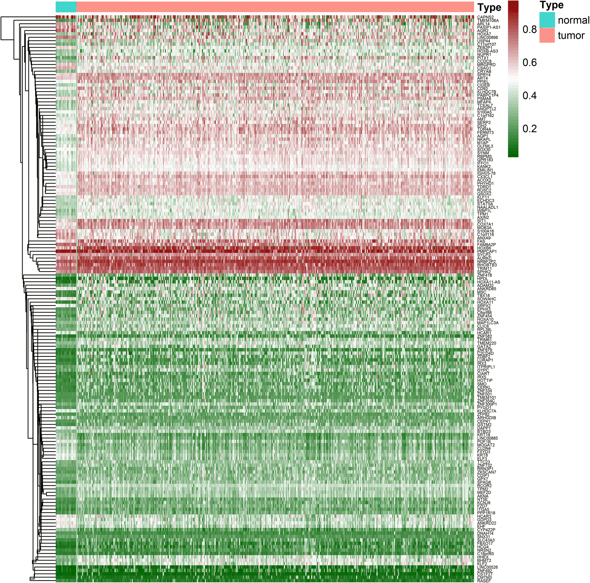 Fig. 1