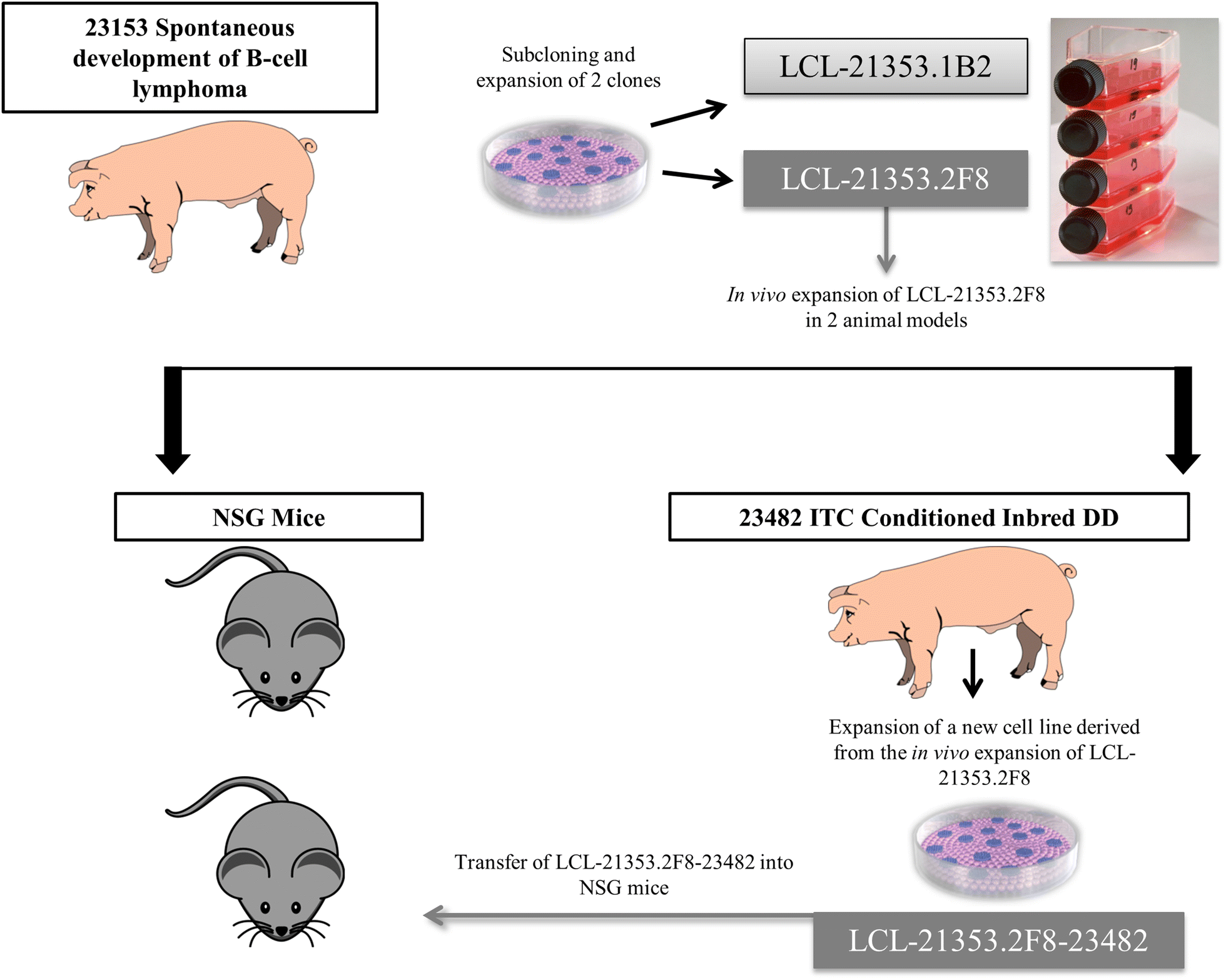 Fig. 1