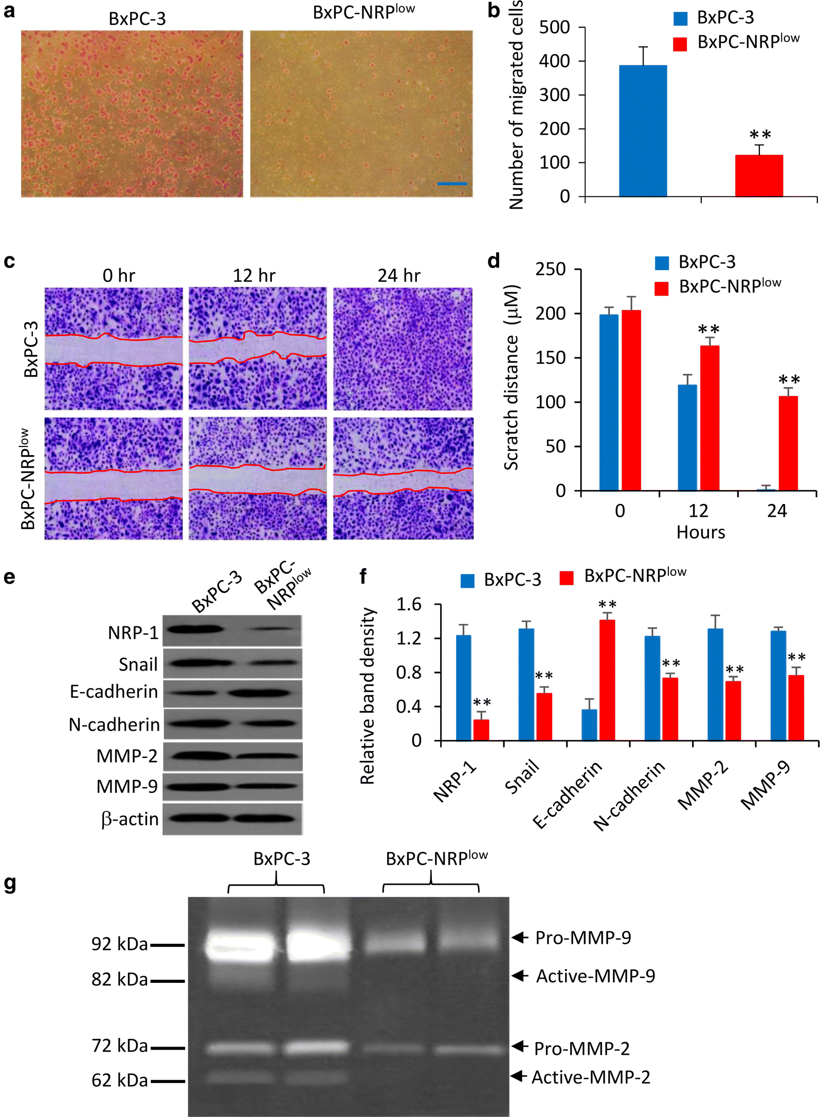 Fig. 4