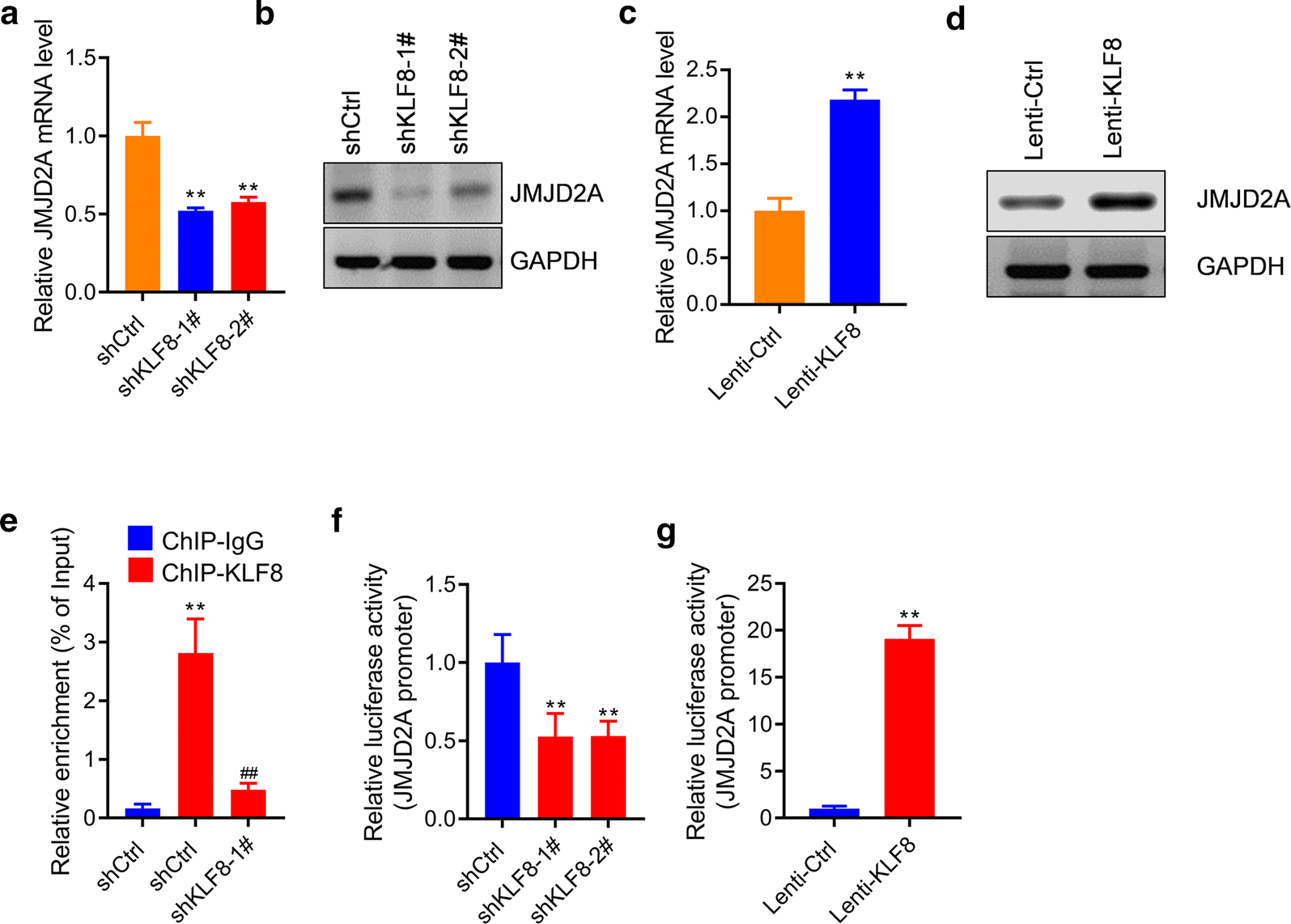 Fig. 6